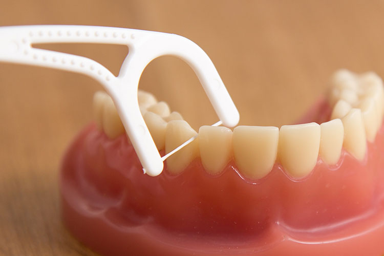 歯間ブラシやフロス、タフトも使いましょう